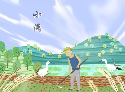 2019幼兒園小滿活動報道 幼兒園小滿活動新聞稿六篇