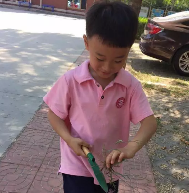 2019幼兒園小滿活動報道 幼兒園小滿活動新聞稿六篇