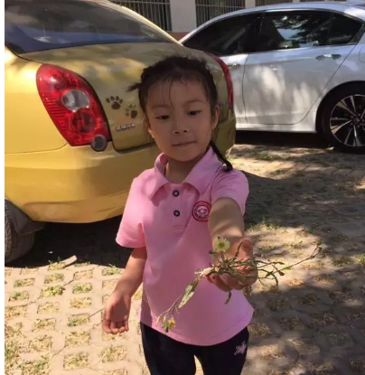 2019幼兒園小滿活動報道 幼兒園小滿活動新聞稿六篇