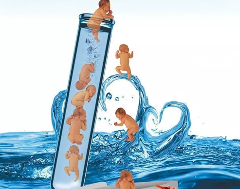 阿sa為什么凍卵 蔡卓妍凍卵是怎么回事