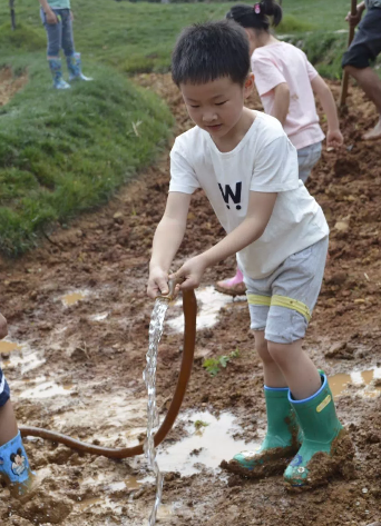 2019幼兒園小滿活動報道 幼兒園小滿活動新聞稿六篇