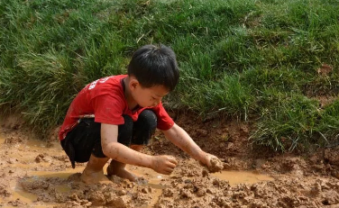 2019幼兒園小滿活動報道 幼兒園小滿活動新聞稿六篇