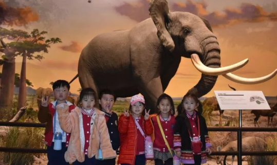 幼兒園去博物館觀后感 2019博物館日幼兒園活動觀后感 幼兒園去博物館觀后感 2019博物館日幼兒園活動觀后感