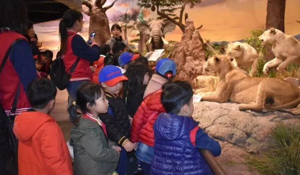 幼兒園去博物館觀后感 2019博物館日幼兒園活動觀后感 幼兒園去博物館觀后感 2019博物館日幼兒園活動觀后感