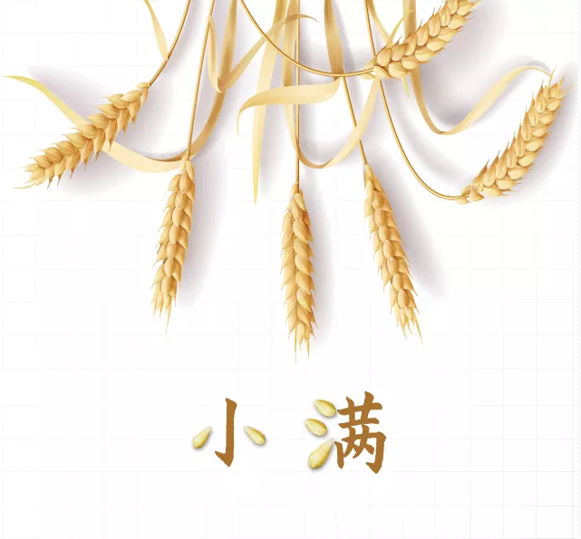 2019幼兒園小滿活動報道 幼兒園小滿活動簡報