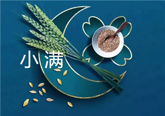 2019幼兒園小滿活動報道 幼兒園小滿活動簡報