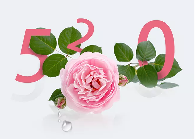 520撩人土味情話 520撩人告白情話