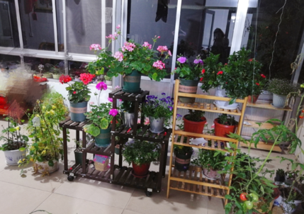 生活心情煩躁的說說 工作上心情煩躁說說朋友圈 生活心情煩躁的說說 工作上心情煩躁說說朋友圈