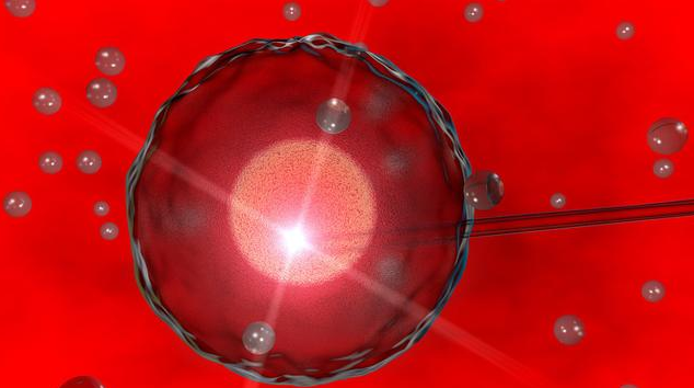 凍卵受孕成功率高嗎 凍卵需要進行幾次療程 凍卵受孕成功率高嗎 凍卵需要進行幾次療程