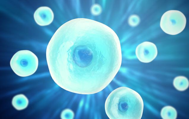 凍卵受孕成功率高嗎 凍卵需要進行幾次療程 凍卵受孕成功率高嗎 凍卵需要進行幾次療程