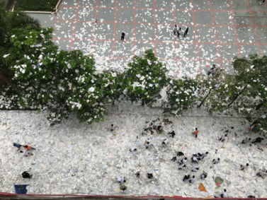 高考努力加油心情感慨 2019高考學子加油句子