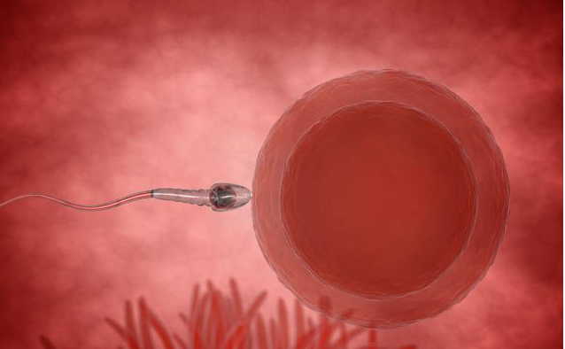 女翻男和男翻女是怎么回事 誰決定的孩子的性別