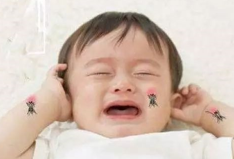 蚊子為什么總愛咬寶寶 物理防蚊的方法有那些 蚊子為什么總愛咬寶寶 物理防蚊的方法有那些