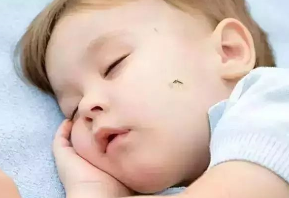 蚊子為什么總愛咬寶寶 物理防蚊的方法有那些 蚊子為什么總愛咬寶寶 物理防蚊的方法有那些