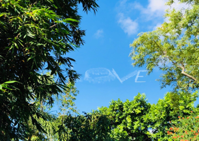 520情話怎么發 關于520的情話短句