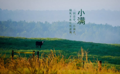 2019今日小滿說說 今日小滿配圖發朋友圈