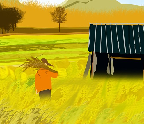 2019今日小滿節氣早安心語 小滿節氣心情說說