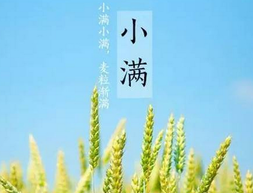 今日小滿心情說說2019 小滿朋友圈文字配圖說說