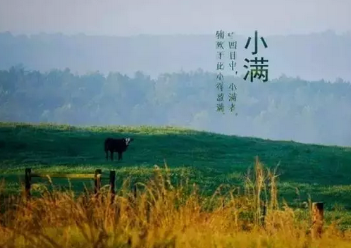 今日小滿心情說說2019 小滿朋友圈文字配圖說說