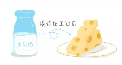 寶寶能吃咸味的奶酪嗎 寶寶多大可以吃奶酪 寶寶能吃咸味的奶酪嗎 寶寶多大可以吃奶酪