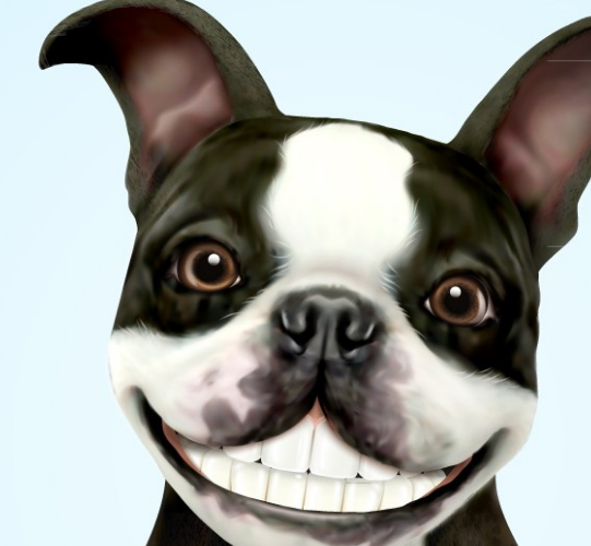  搞笑生日祝福語簡短 搞笑生日發朋友圈句子