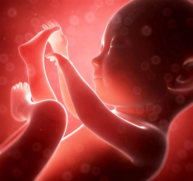 羊水偏多是胎兒畸形嗎 羊水偏多是怎么造成的