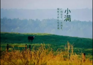 今日小滿心情說說2019 小滿朋友圈文字配圖說說