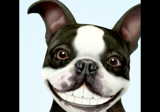  搞笑生日祝福語簡短 搞笑生日發朋友圈句子