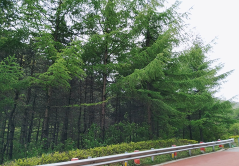 爬山的說說心情短語 去爬山的說說句子感慨