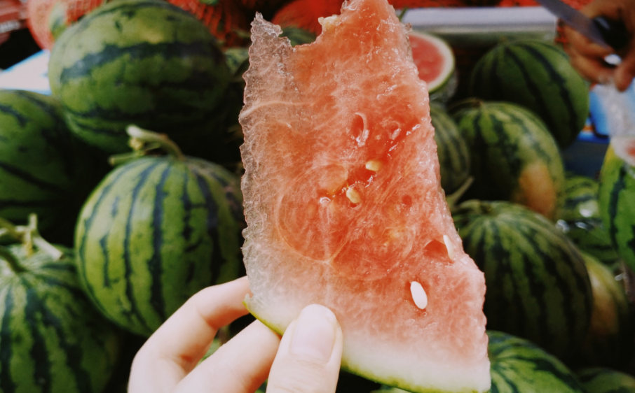 夏天描寫蟬鳴的句子 2019盛夏里蟬鳴的說說朋友圈