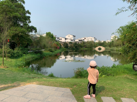 關于夏天蟬鳴的說說 夏天有蟬鳴的句子 關于夏天蟬鳴的說說 夏天有蟬鳴的句子