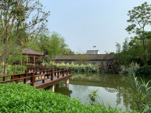 關于夏天蟬鳴的說說 夏天有蟬鳴的句子 關于夏天蟬鳴的說說 夏天有蟬鳴的句子