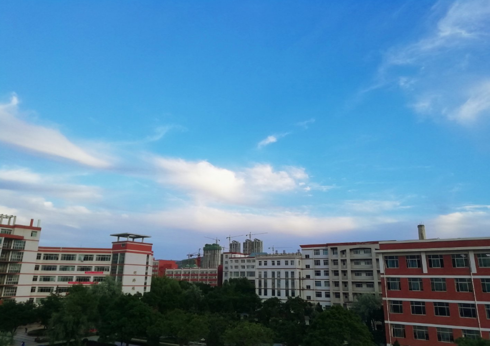 描寫夏天蟬鳴的句子 關于夏天的優美短句說說 描寫夏天蟬鳴的句子 關于夏天的優美短句說說