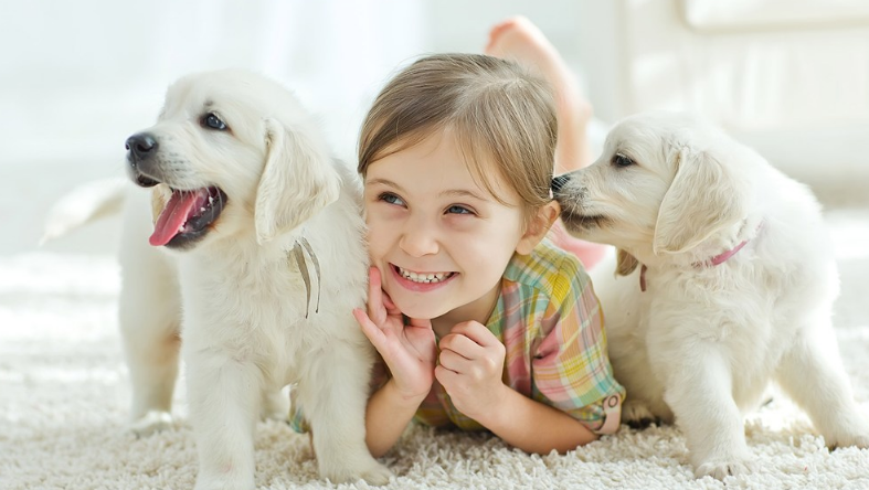 為什么孩子會(huì)得尿路感染 孩子尿路感染治得好嗎