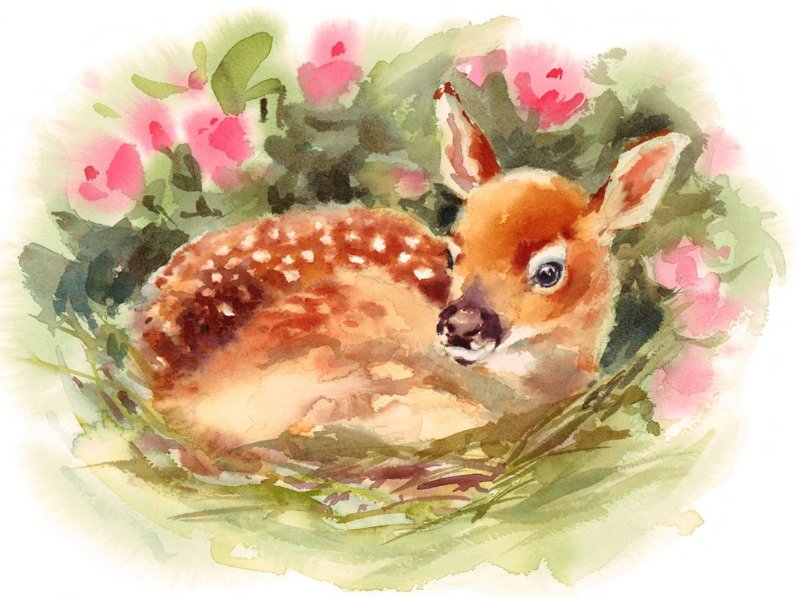 學齡前寶寶睡前童話 能量