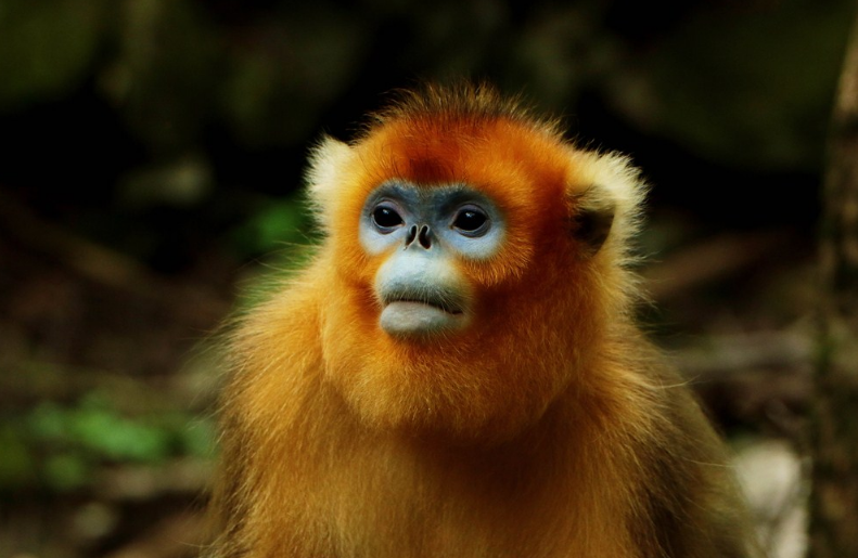 學齡前寶寶睡前童話 能量
