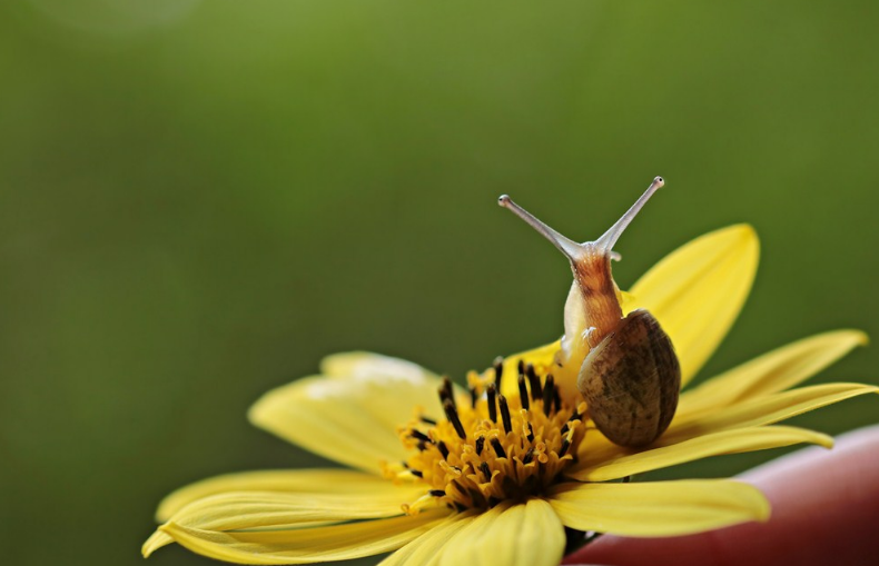 學齡前寶寶睡前童話 能量