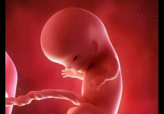 夫妻年齡會影響胎兒性別嗎 備孕年齡能影響到胎兒性別嗎