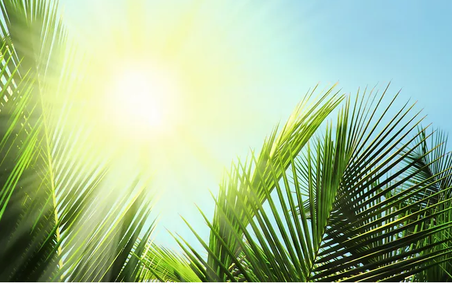 今天天氣熱的說說心情短語 今天天氣好熱的句子