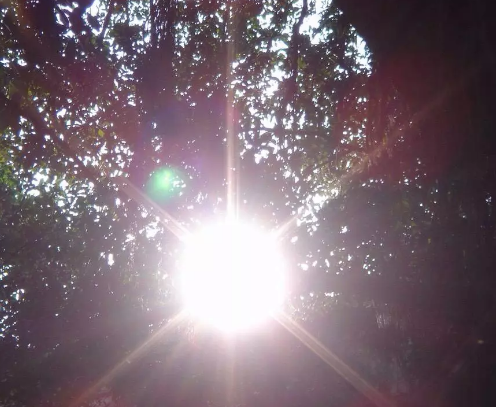 天氣熱搞笑心情說說 適合發朋友圈天熱說說