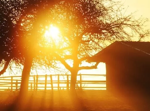 天氣熱搞笑心情說說 適合發朋友圈天熱說說