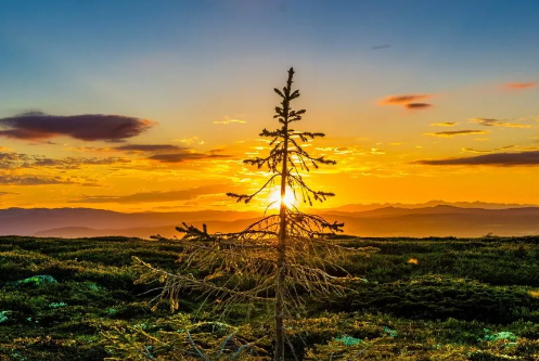 今天好熱心情發朋友圈說說 天氣真熱心情說說短語