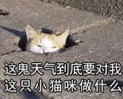 夏天熱的不想吃飯說說 夏天一熱就不想吃飯心情句子 夏天熱的不想吃飯說說 夏天一熱就不想吃飯心情句子