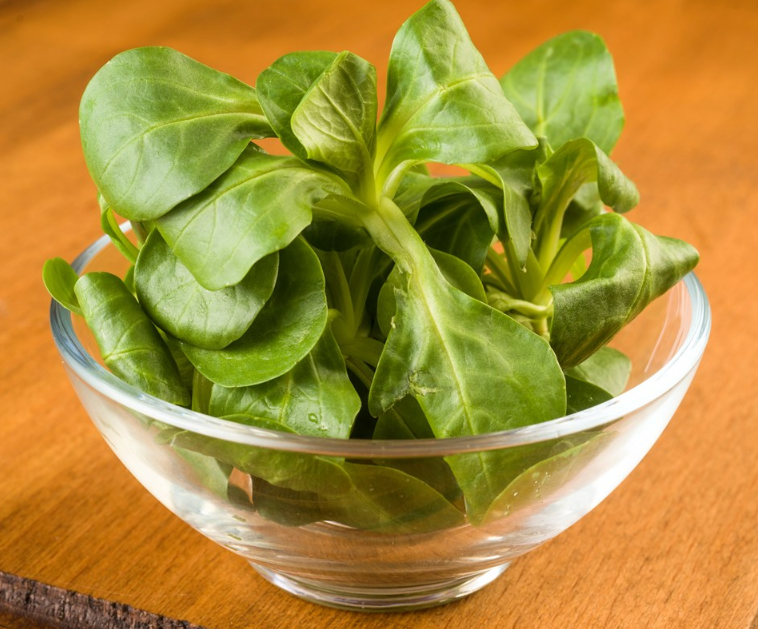 孩子長期吃素食會不會長不高 孩子可以長期只吃素嗎