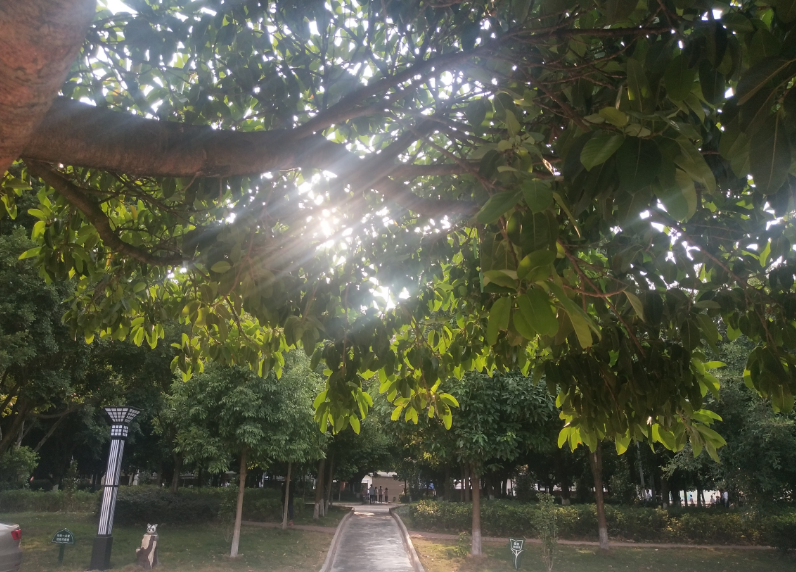 懷念青春的句子簡短的心情 想表達懷念青春的句子說說