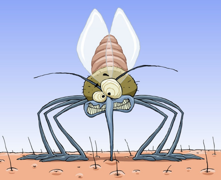 用什么防止蚊蟲(chóng)叮咬孩子比較好 蚊蟲(chóng)多怎么避免被咬