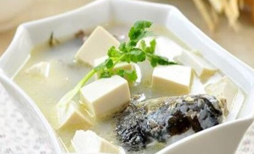 坐月子喝奶白湯有助于下奶嗎 奶白湯營養怎么樣