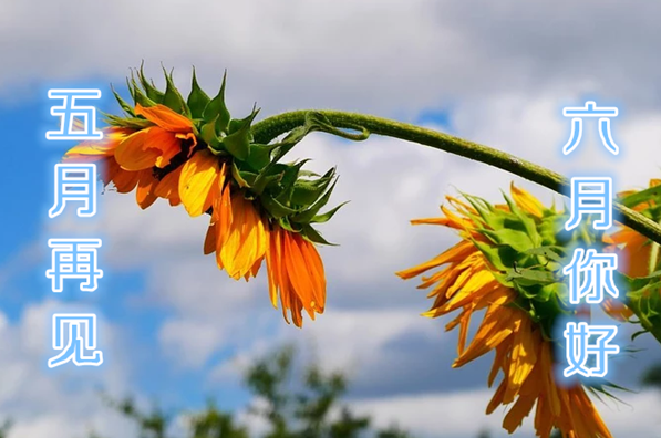 五月再見六月你好圖片文字 五月再見六月你好文字帶圖