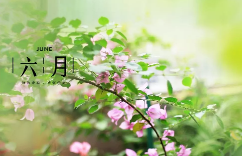 迎接六月的第一天說說 迎接六月的第一天心情句子
