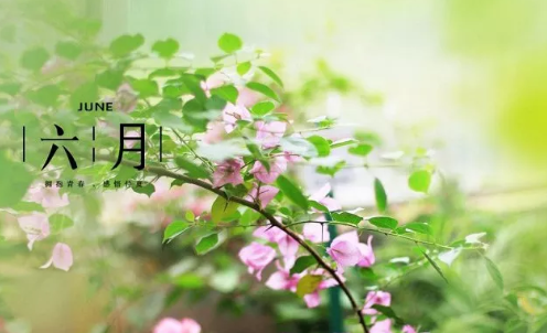 五月再見六月你好說說 五月再見六月你好朋友圈心情句子